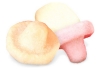 Red Band - Sour Mushrooms - 240 pcs