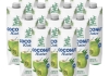 Bamboo Tree - Coconut Water - 12x 1 ltr