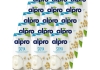 Alpro - Soya Drink Original - 5x (3x 250ml)