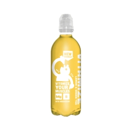 Vitamize - Lemon Greentea - Pet - 12 x 500 ml