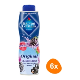 Karvan Cévitam - Forest fruits - 6x 600ml